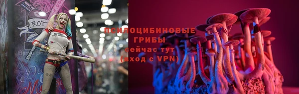 apvp Алексин