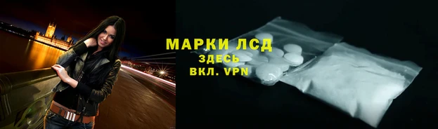 apvp Алексин
