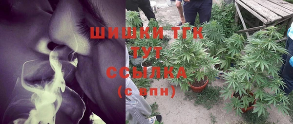 гашик Алексеевка