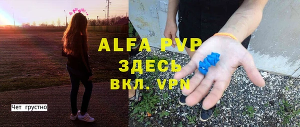 гашик Алексеевка