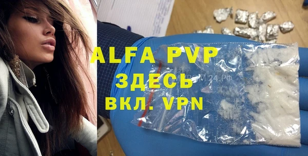 apvp Алексин